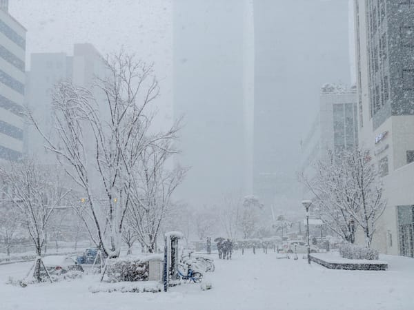 첫눈이 그린 겨울 그림