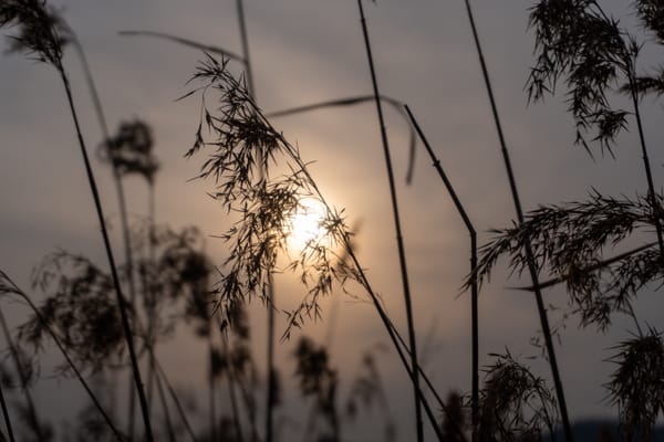 📍소래 습지 생태 공원